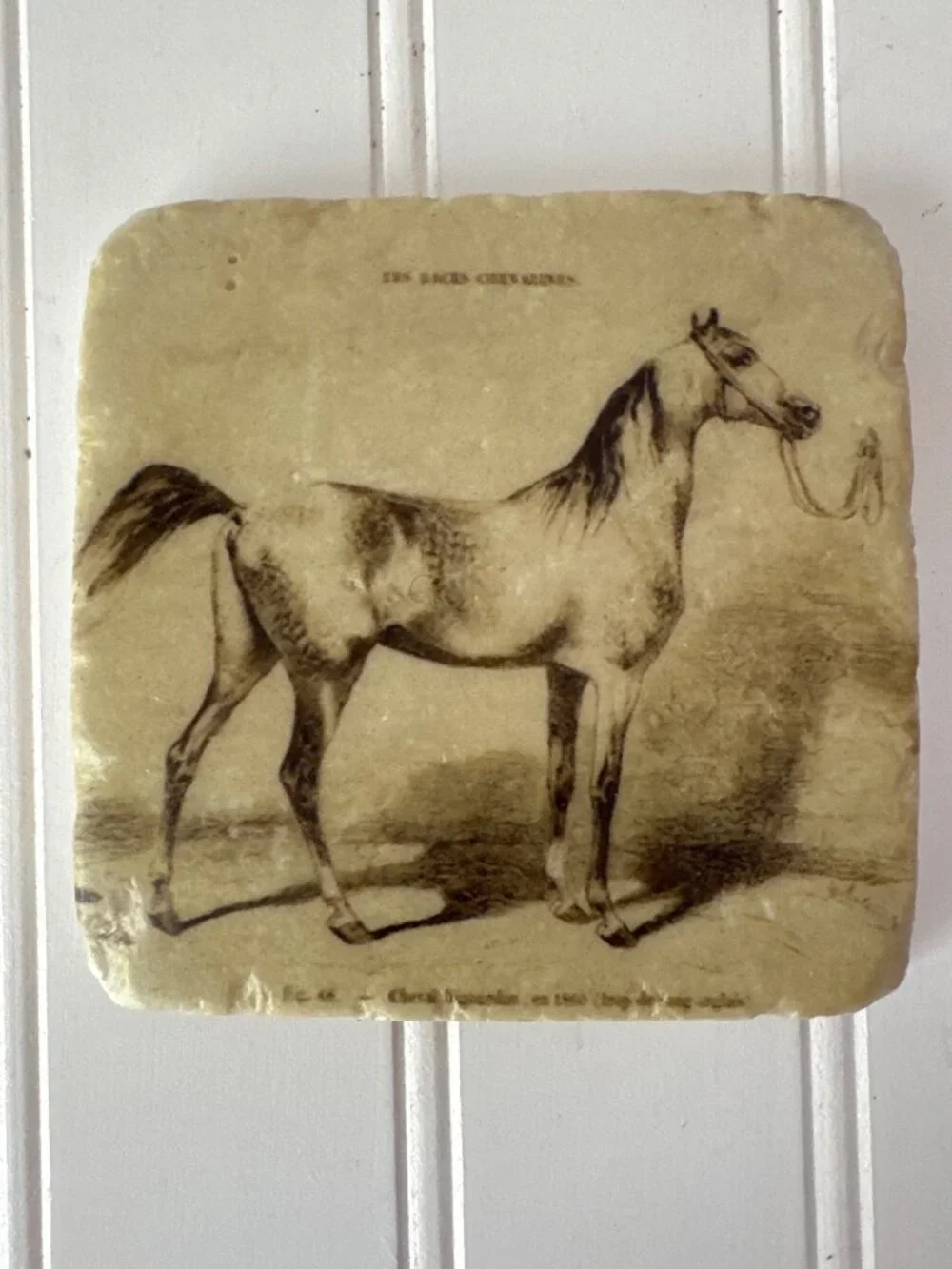 Tumbled Stone Horse Equestrian Coaster Set Cork Backings Rustic Beige Western